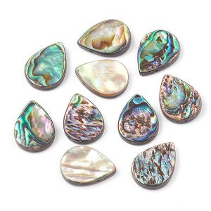 Shell Beads